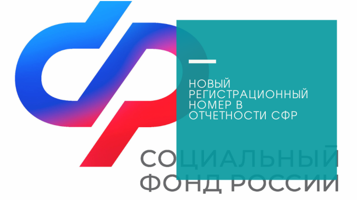 Проверьте свой номер СФР!